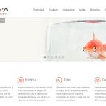fotografia de webs