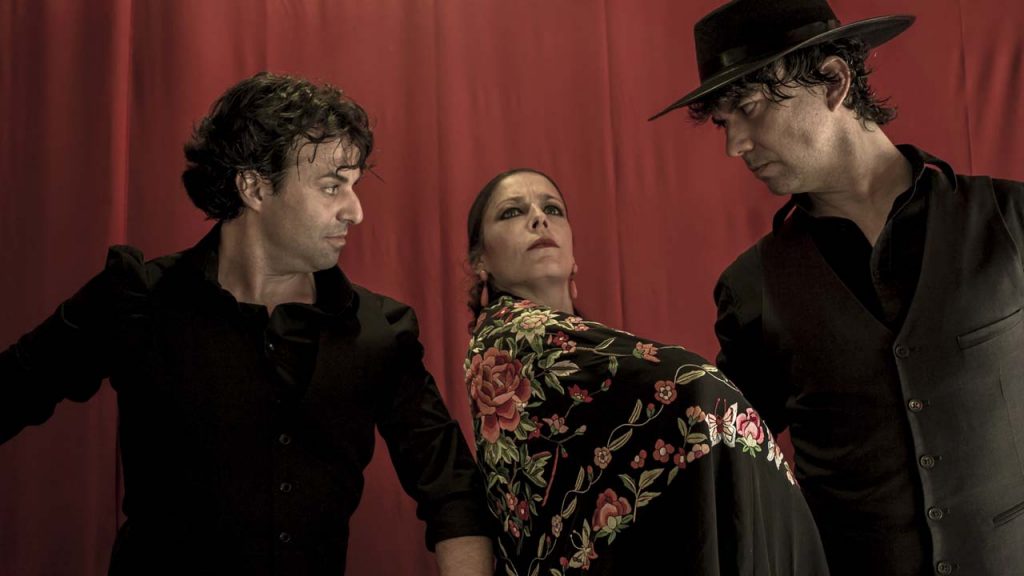 Fotografía para bailaores flamenco